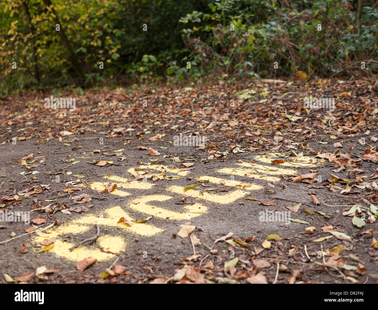 Londres, Hampstead Heath, pas de vélo jaune peint signe sur le sol, sentier couvert de feuilles d'automne Banque D'Images