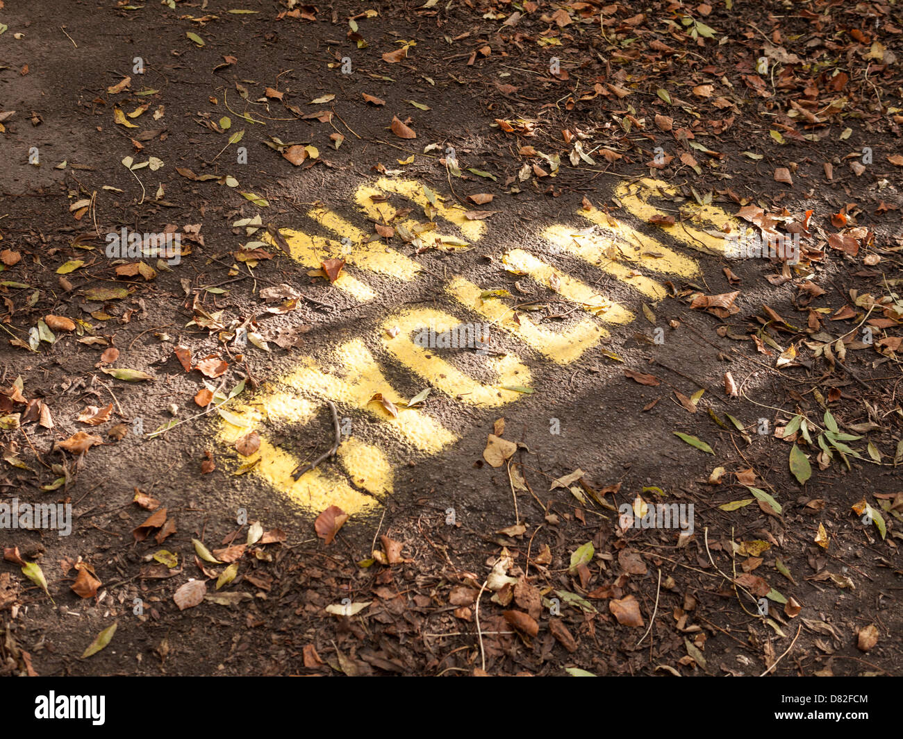 Londres, Hampstead Heath, pas de vélo jaune peint signe sur le sol, sentier couvert de feuilles d'automne Banque D'Images