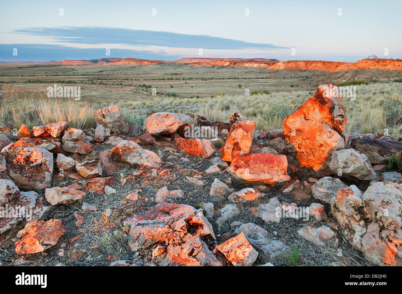 La première lumière sur le Jump Up dans Sturt Parc National. Banque D'Images