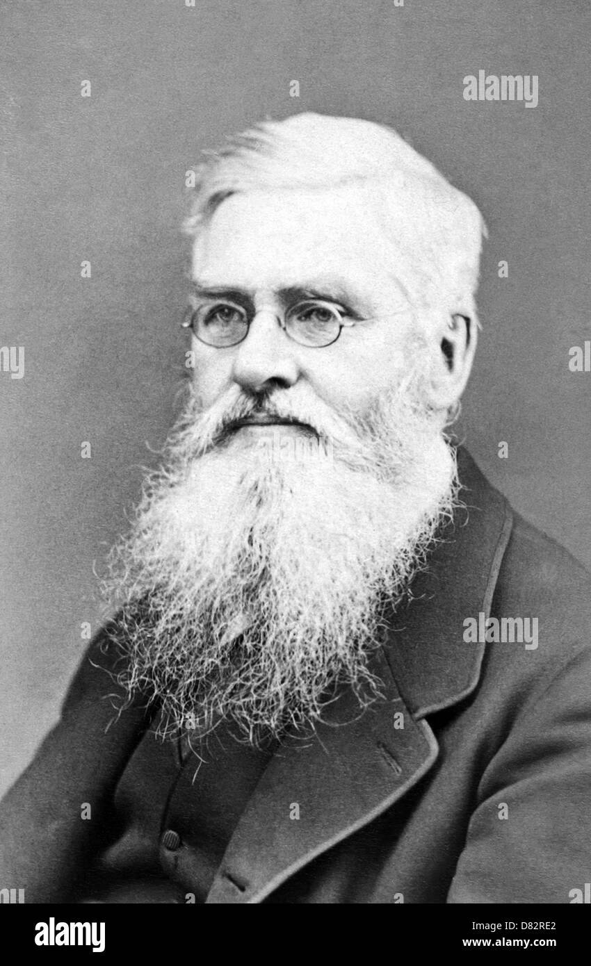 ALFRED RUSSEL WALLACE (1823-1913) naturaliste et explorateur gallois conçu indépendamment de la théorie de l'évolution par sélection naturelle Banque D'Images