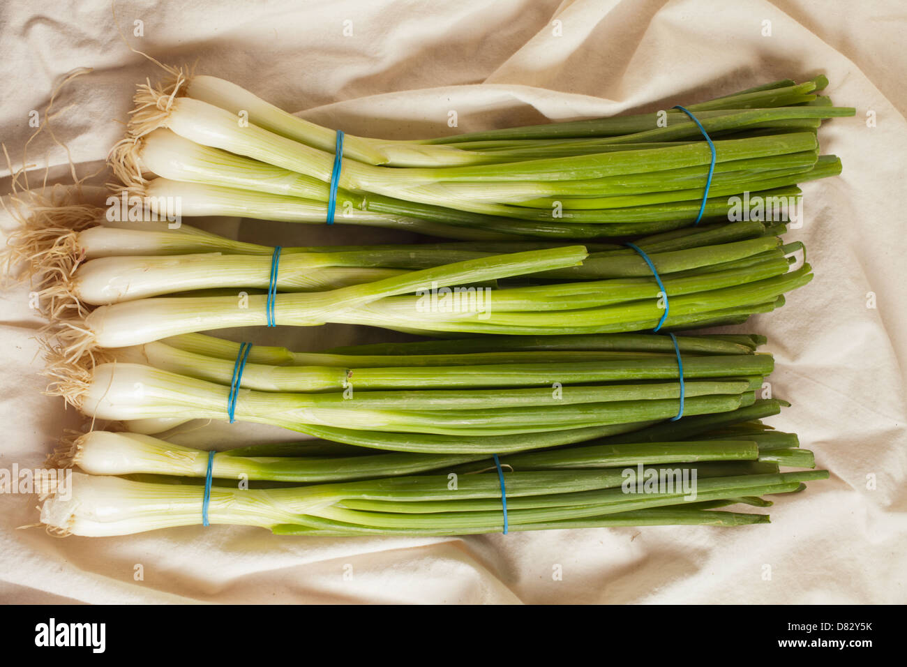 Bouquets d'oignons verts, parfois appelé longtemps ou d'oignons verts Banque D'Images