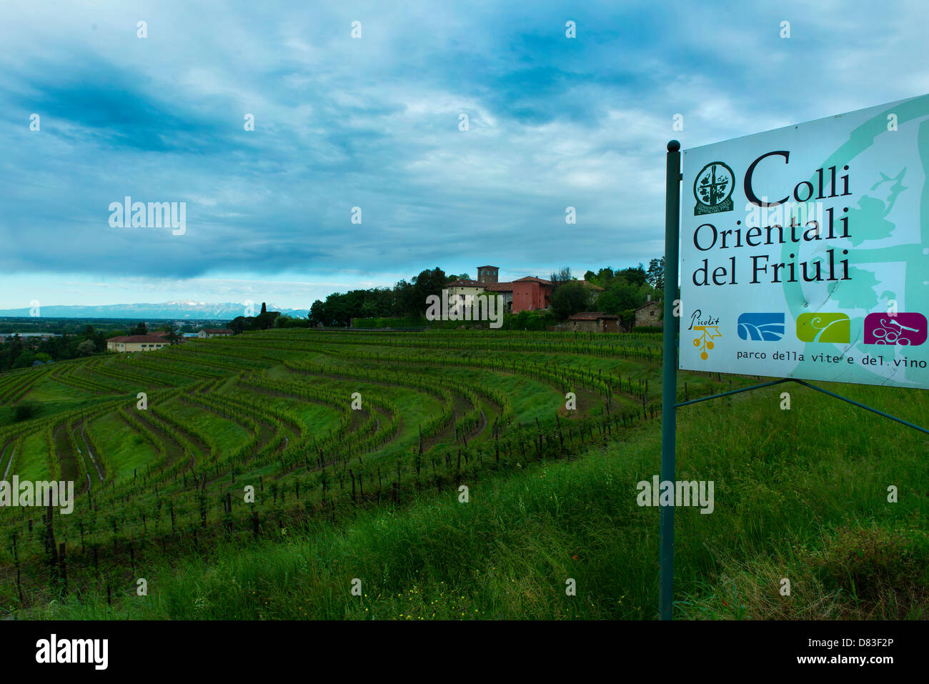 Vue sur les vignobles des collines de Collio Banque D'Images