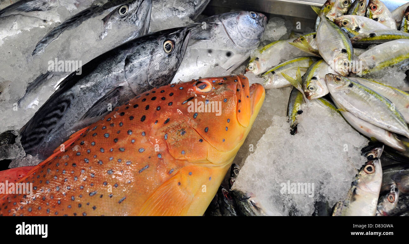 Blocage des poissonniers Cebu Philippines Banque D'Images