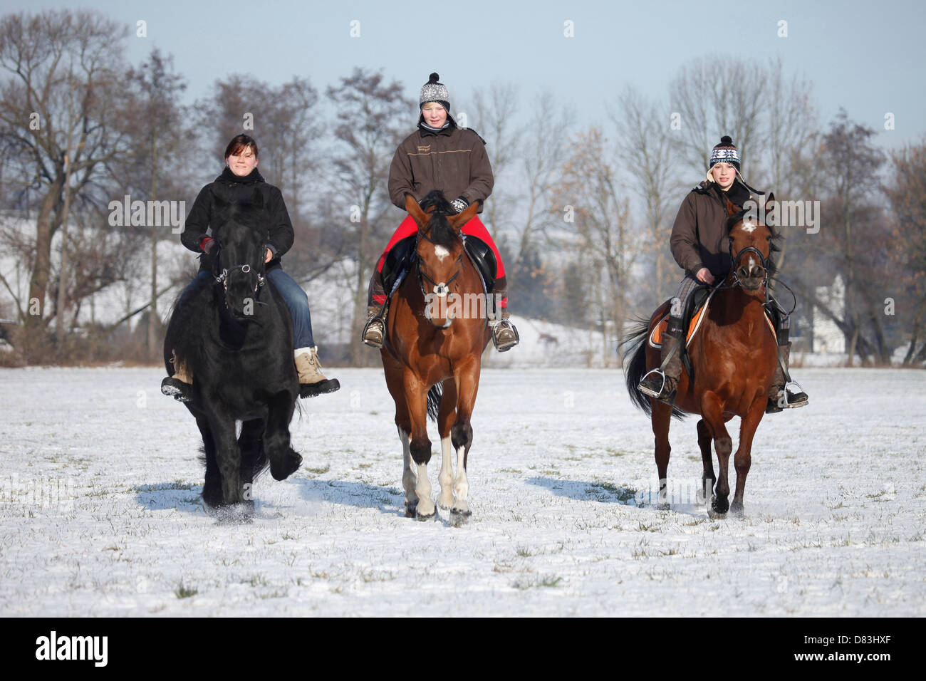 Les cavaliers avec chevaux Banque D'Images