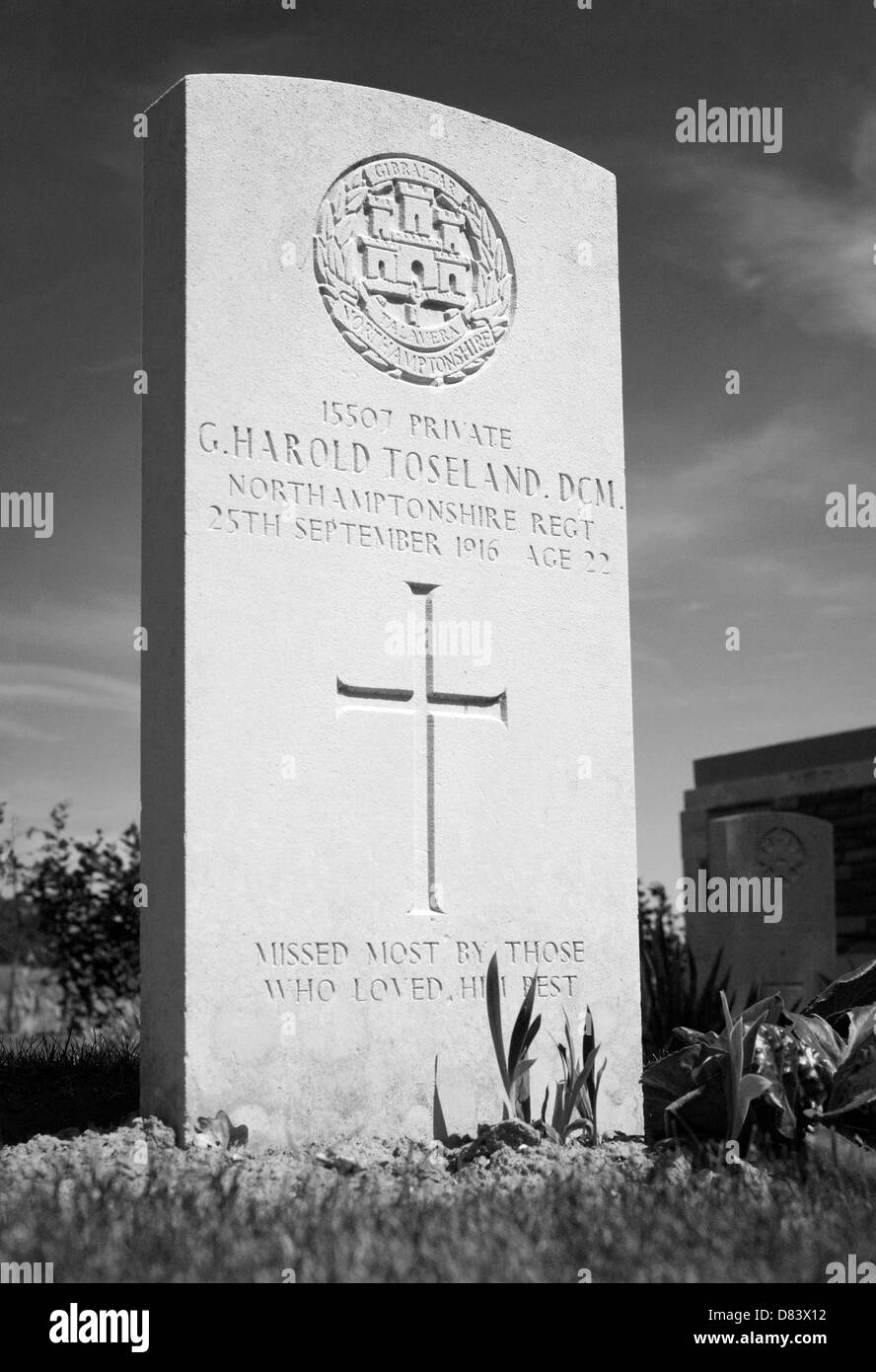 Pierre tombale du Soldat George H Toseland DCM. Décédé à l'âge de 22 septembre 1916. Cimetière BRITANNIQUE DE BOIS PEAKE, MAMETZ, Somme, France. Banque D'Images