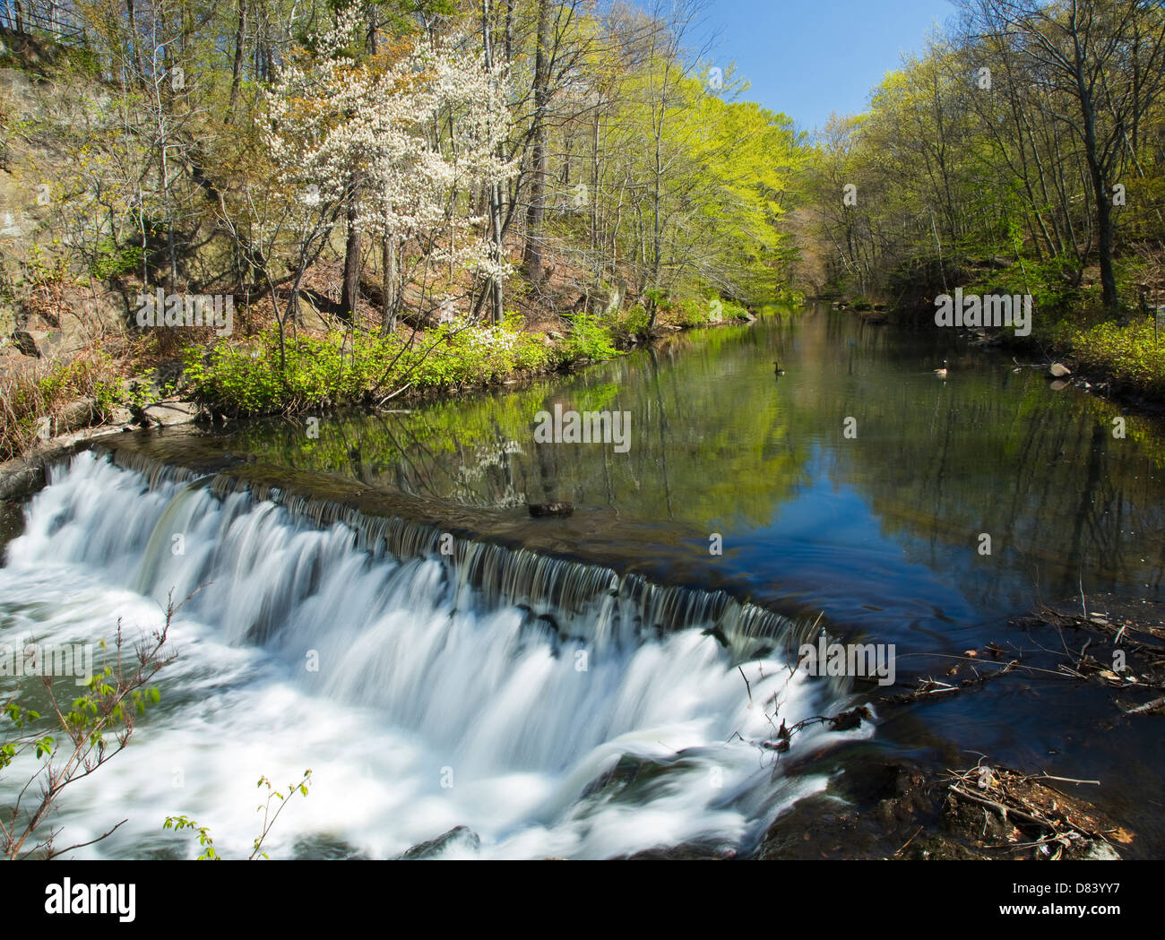Time Lapse cascade et ruisseau (flou de mouvement) Banque D'Images