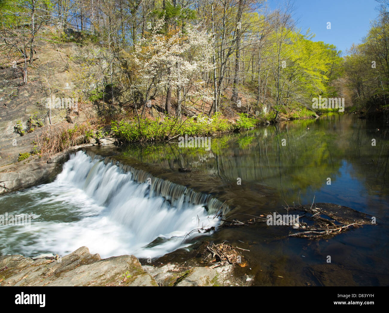 Time Lapse cascade et ruisseau (flou de mouvement) Banque D'Images
