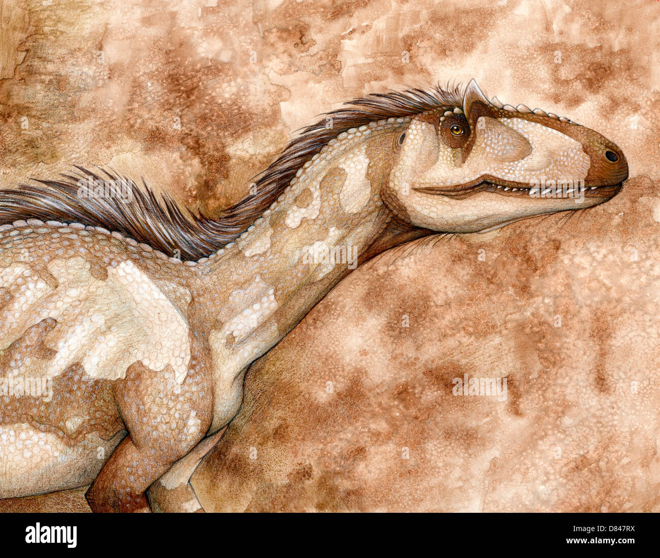 L'Allosaurus est un genre de grand théropode que vivait pendant le jurassique. Banque D'Images