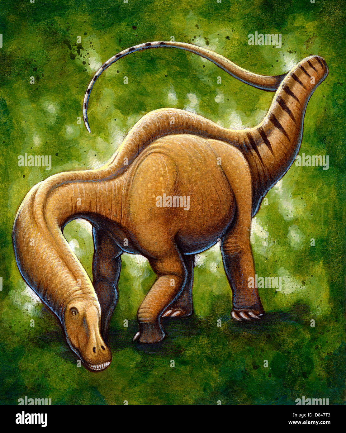 Apatosaurus, un dinosaure sauropode qui ont vécu durant la période jurassique. Acrylique et crayon de couleur. Banque D'Images
