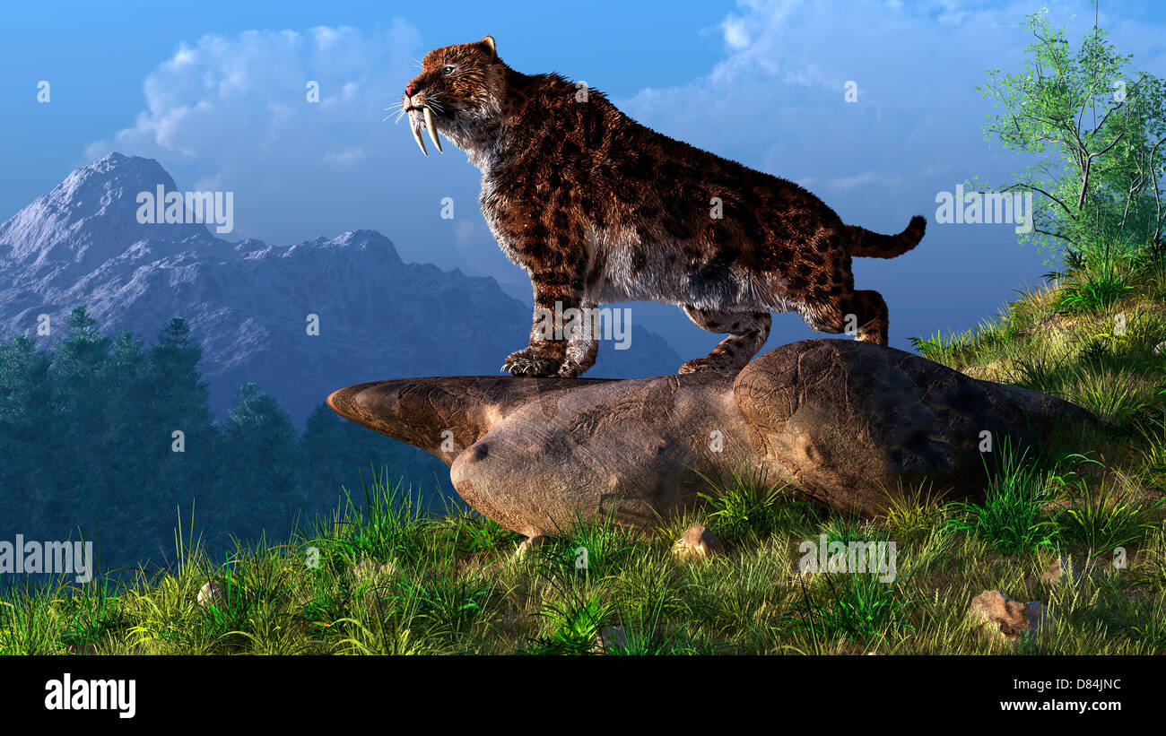 Smolodon à flanc de montagne. Banque D'Images