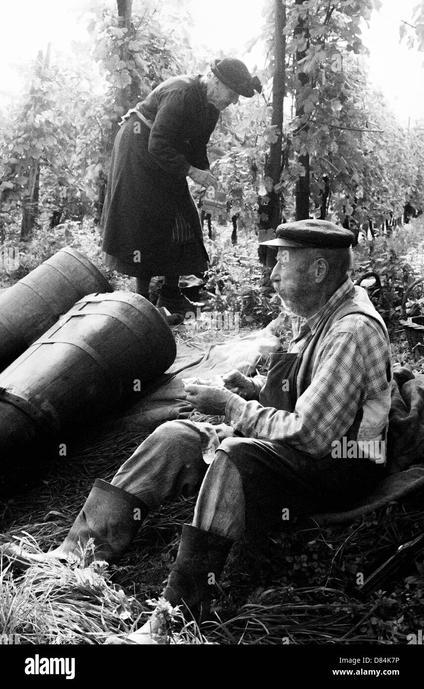 1963 vignerons âgés âgés âgés à l'heure du déjeuner dans le vignoble Alsace France Banque D'Images