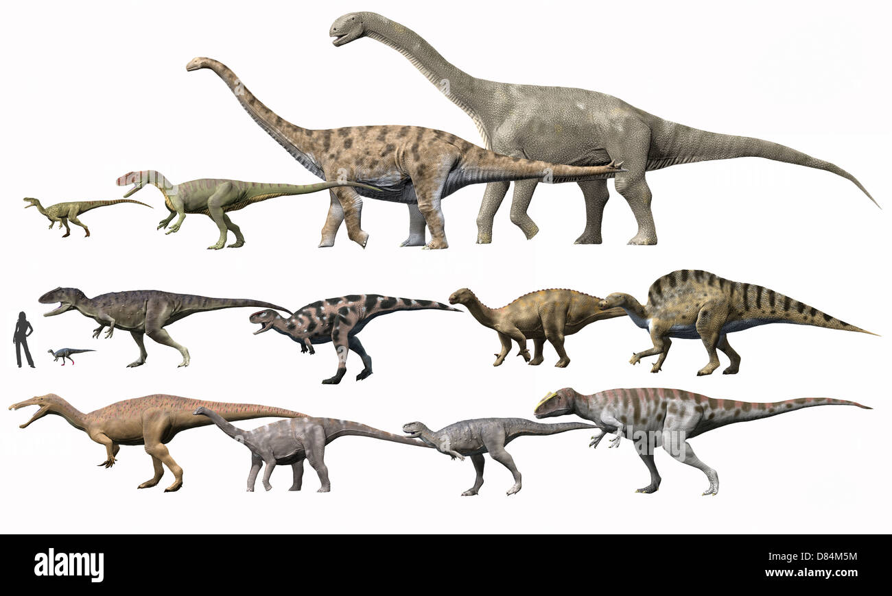 Préhistoire les dinosaures du Niger à l'échelle. Banque D'Images