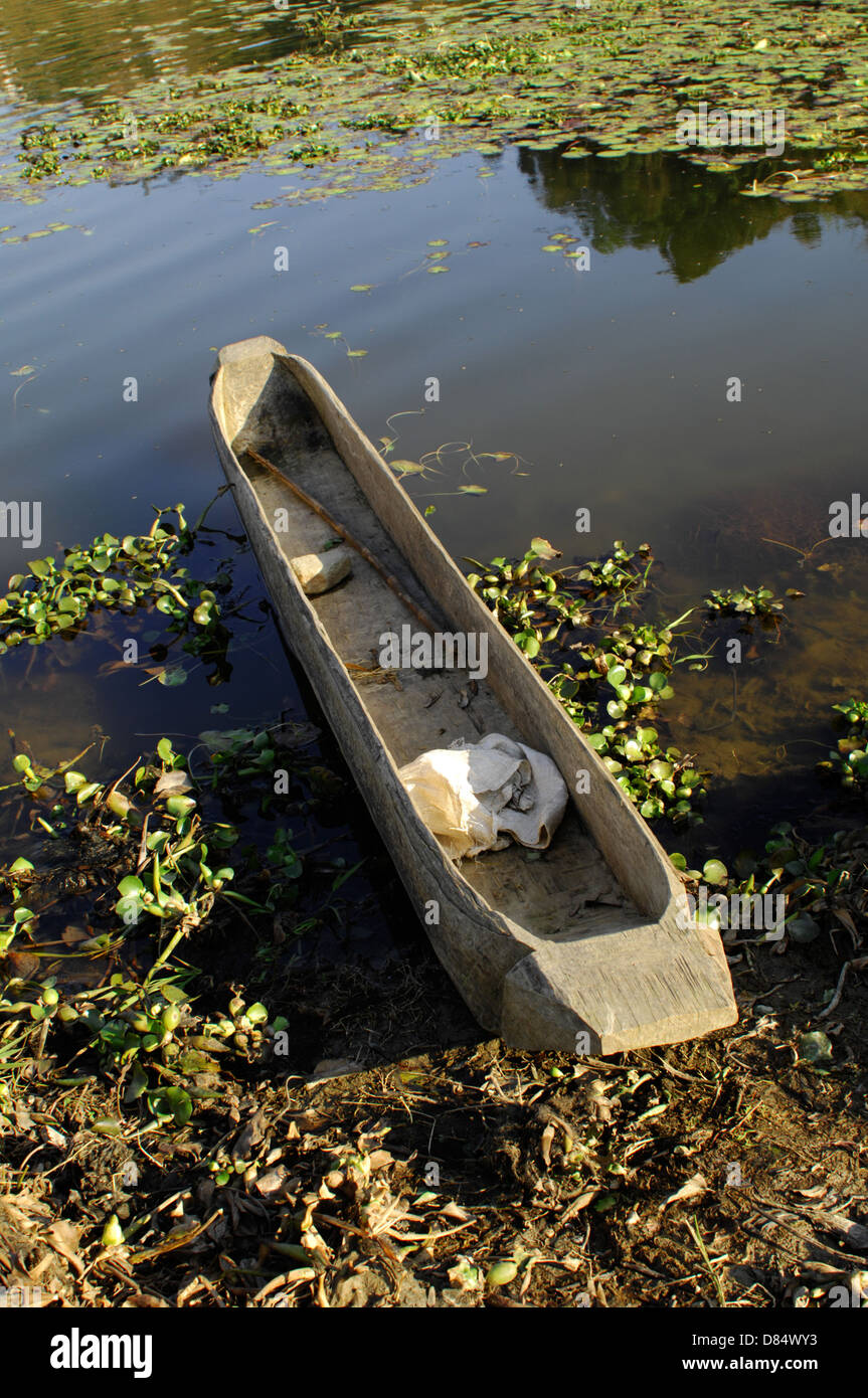 Une pirogue sur le Lac Fewa Tal dans Phokara, au Népal. Le canot est sculpté dans un seul tronc d'un arbre. Sculptée à la main par les locaux. Banque D'Images