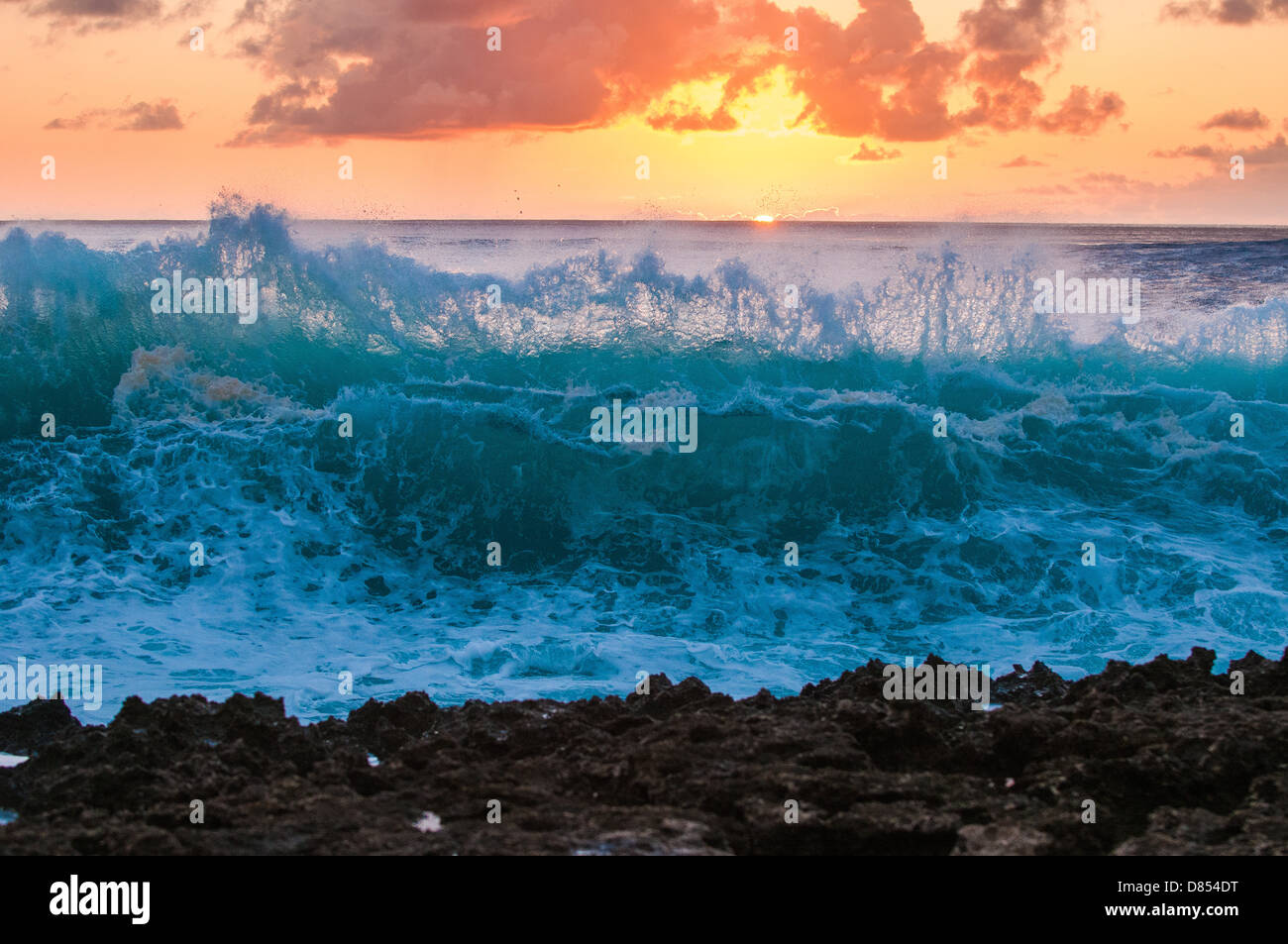 Vague se brisant sur la plate-forme de lave, Oahu, Hawaii Banque D'Images