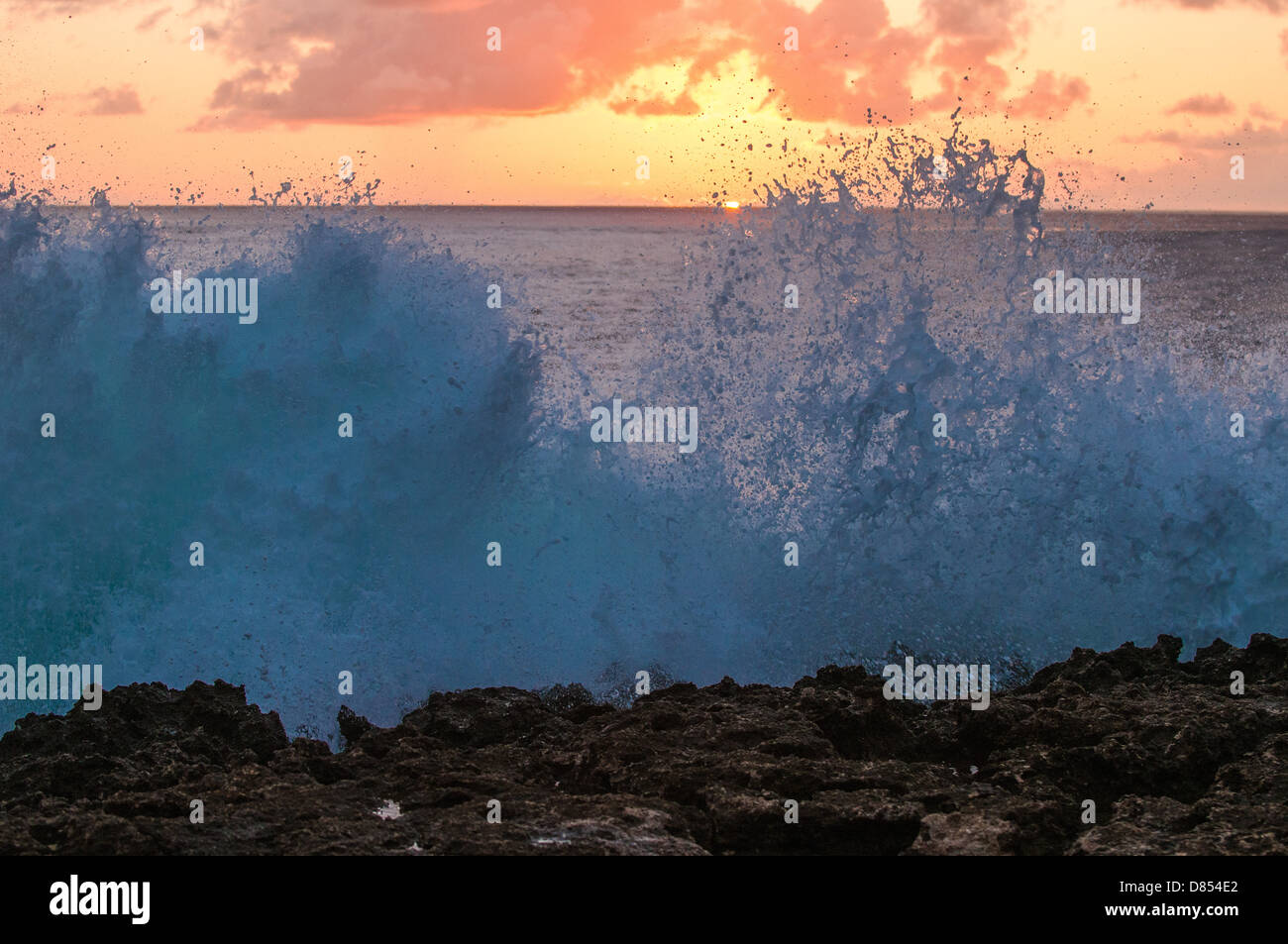 Vague se brisant sur la plate-forme de lave, Oahu, Hawaii Banque D'Images
