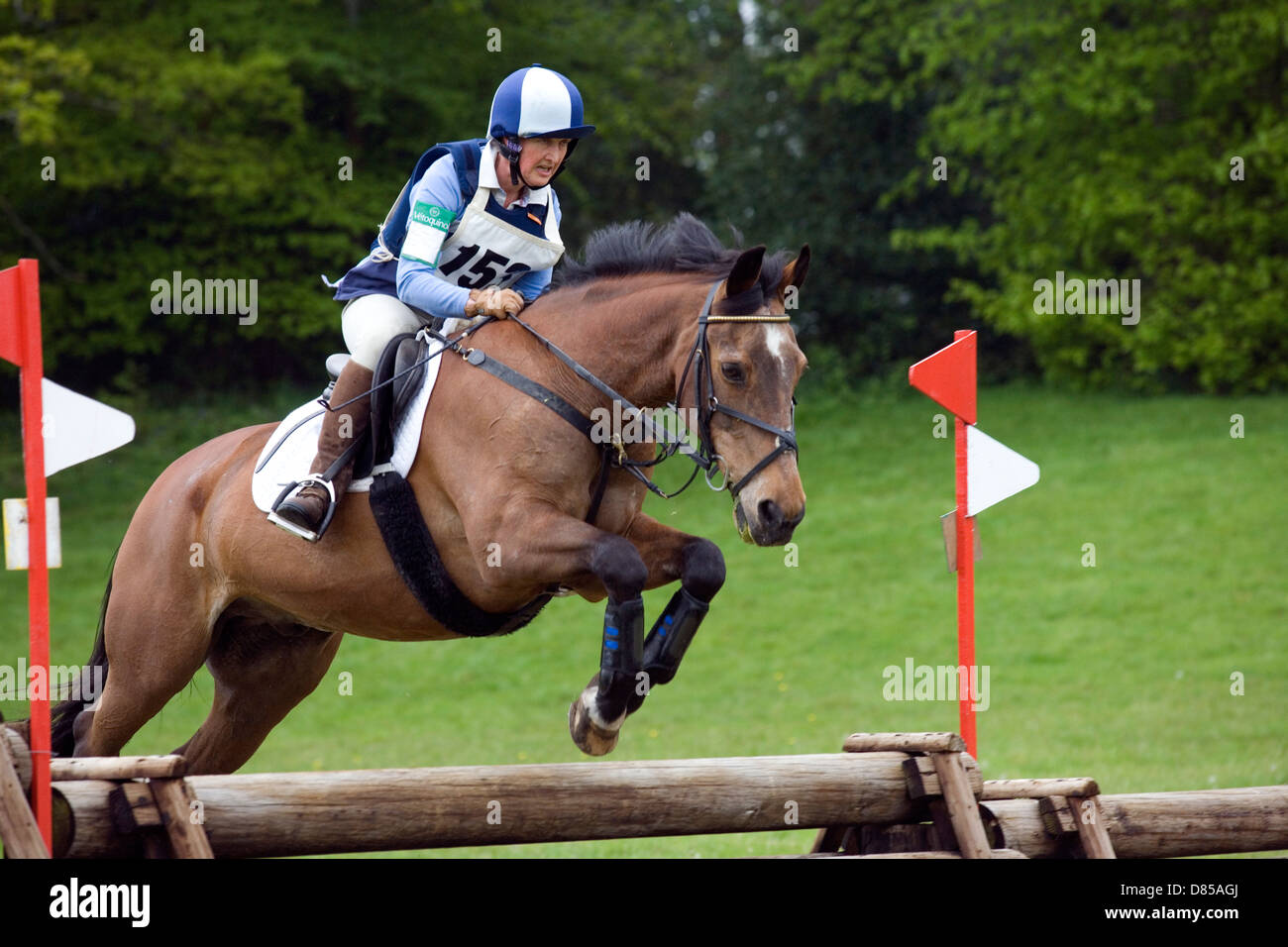 Hampshire : Equestrian event cross-country Banque D'Images