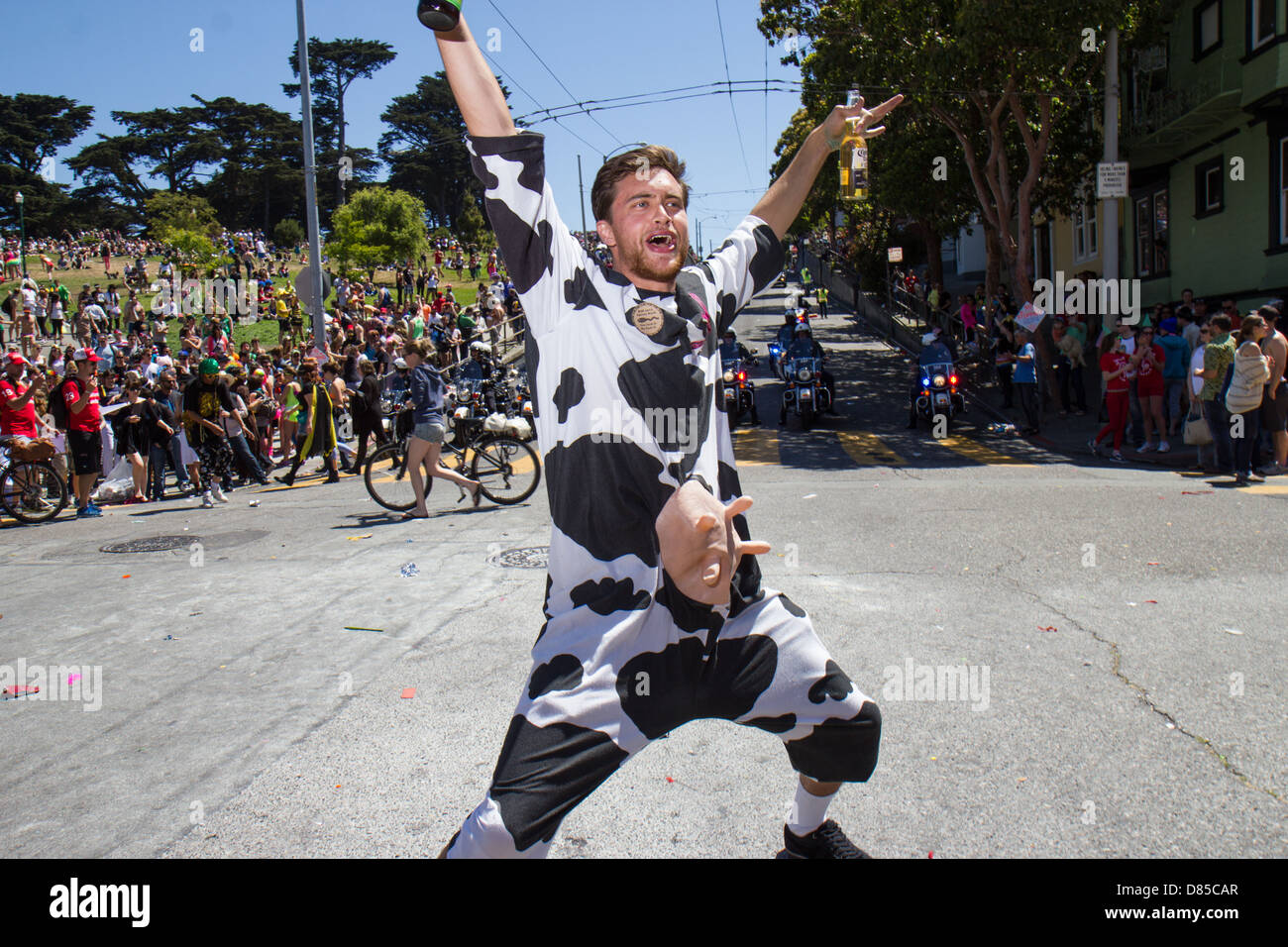 L'homme en costume de vache à l'encontre de l'ordre de la police d'effacer la rue à Bay to Breakers. San Francisco. L'année 2013. Banque D'Images