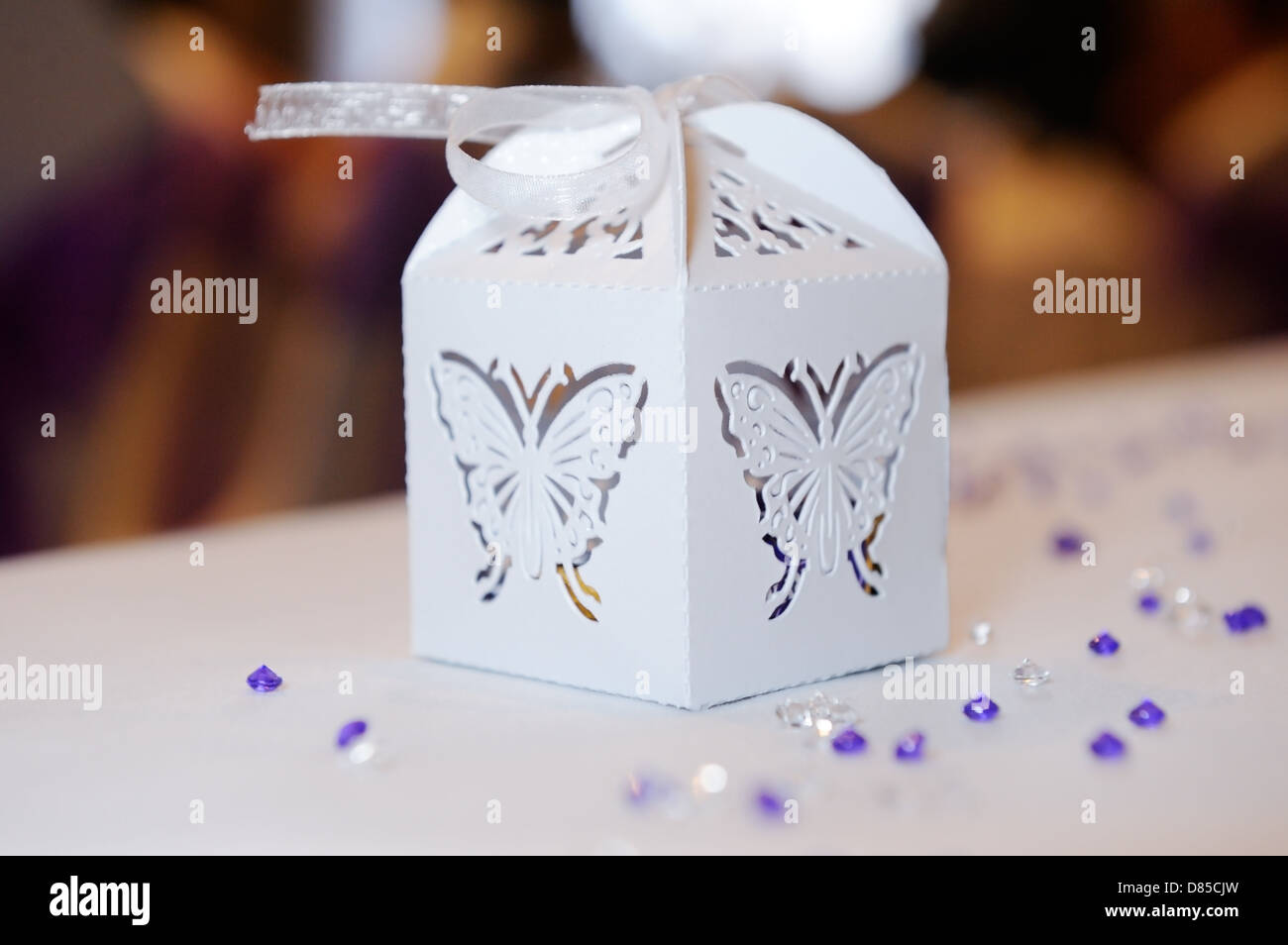 Boîte cadeau décoratif à votre réception de mariage avec détail papillon Banque D'Images