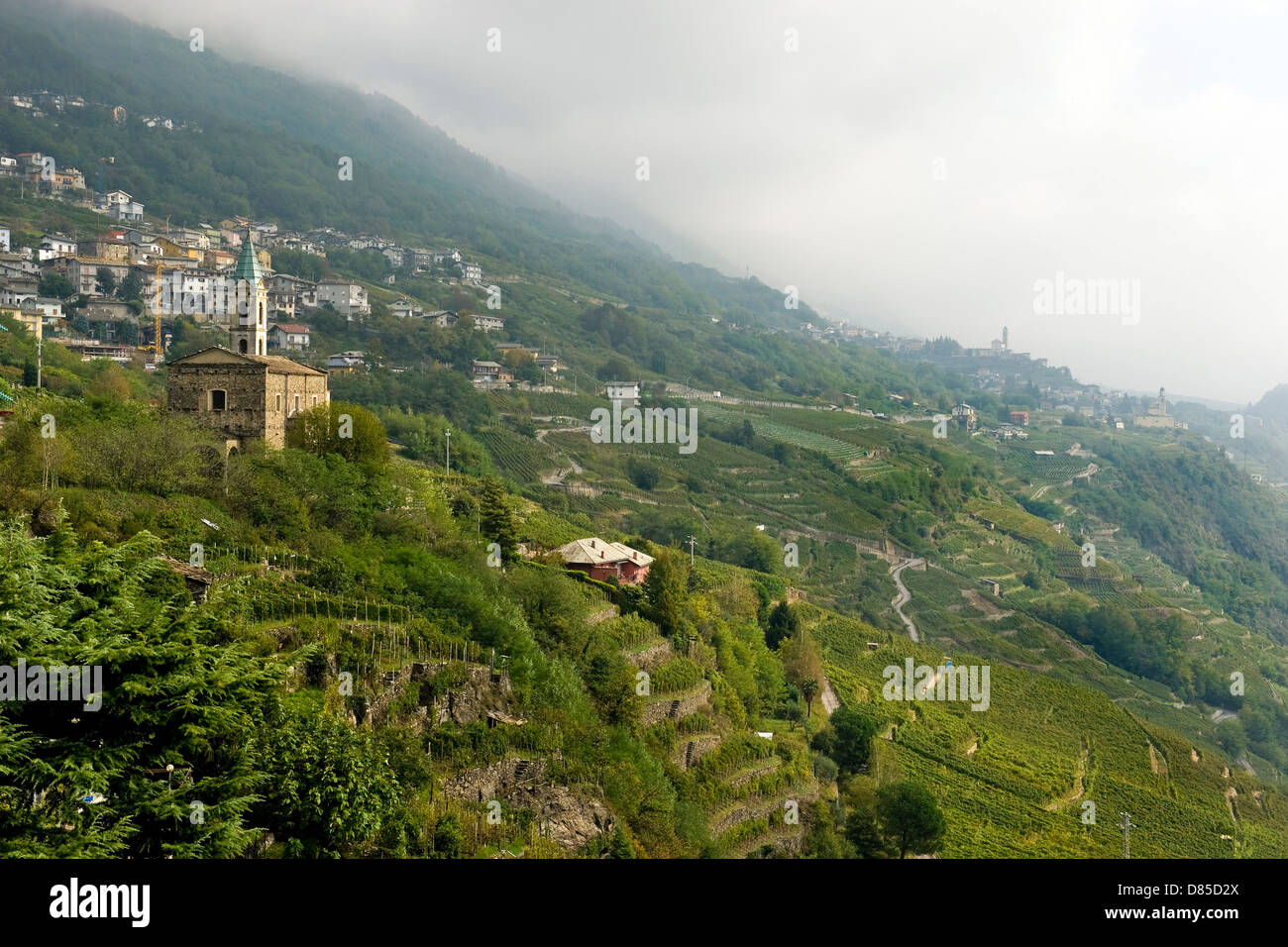 Italie Lombardie Valteline Chiuro vineyards Banque D'Images