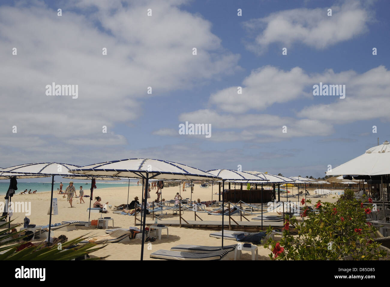 Santa Maria Beach Île de Sal au Cap Vert Banque D'Images