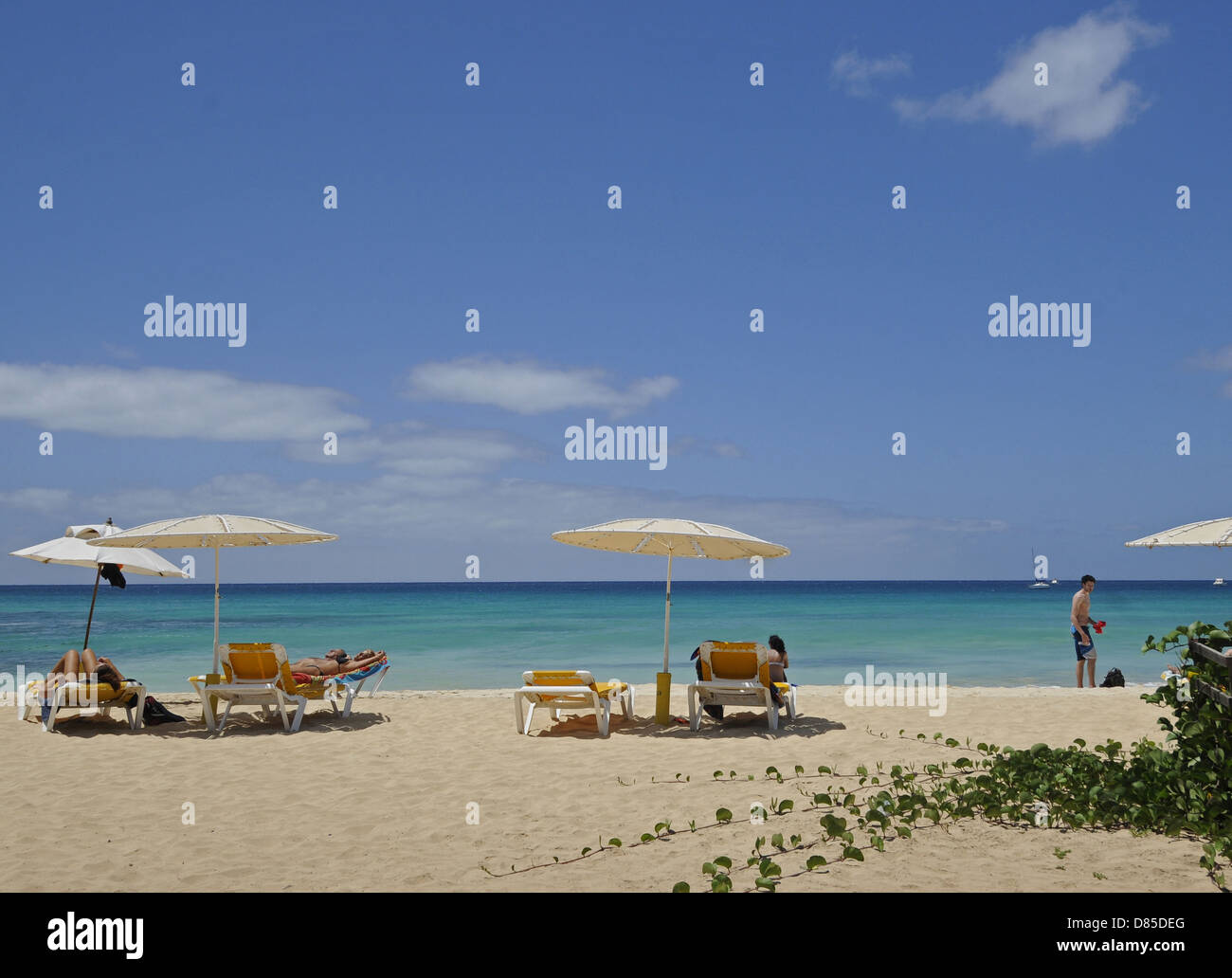 Santa Maria Beach Île de Sal au Cap Vert Banque D'Images
