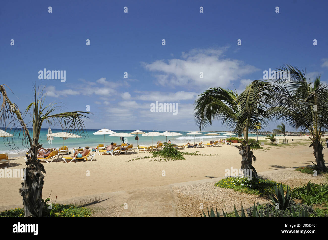 Santa Maria Beach Île de Sal au Cap Vert Banque D'Images