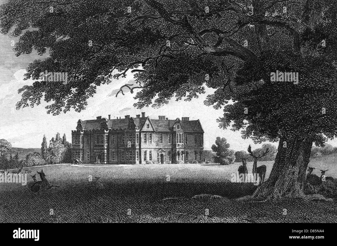 ALBYNS ESSEX Banque D'Images ALBYNS ESSEX Banque D'Images