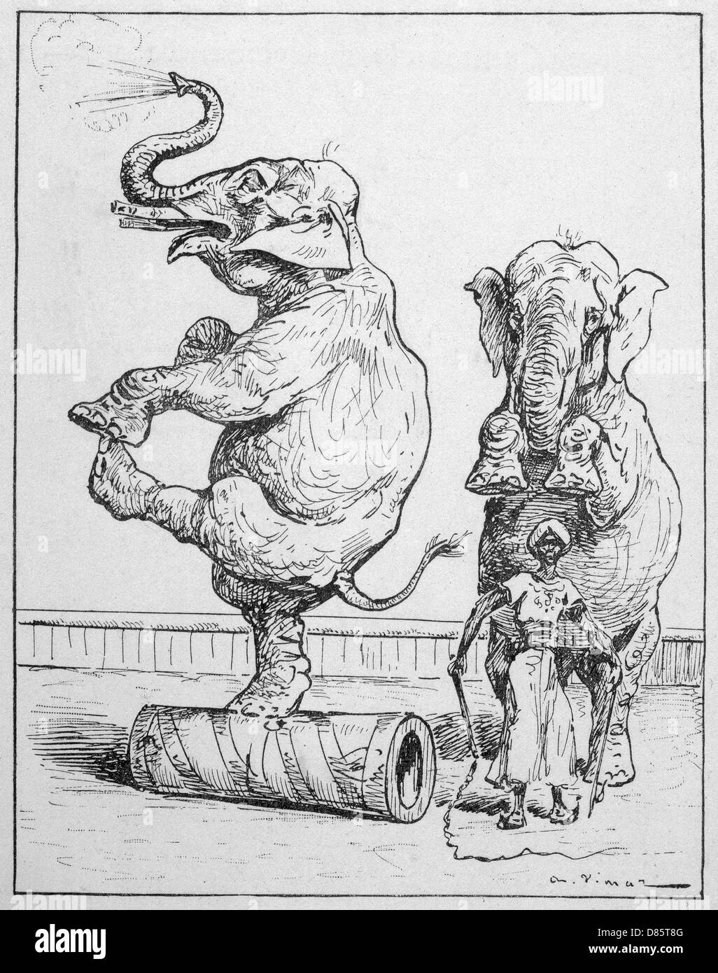 Spectacle d'éléphants de cirque Banque D'Images