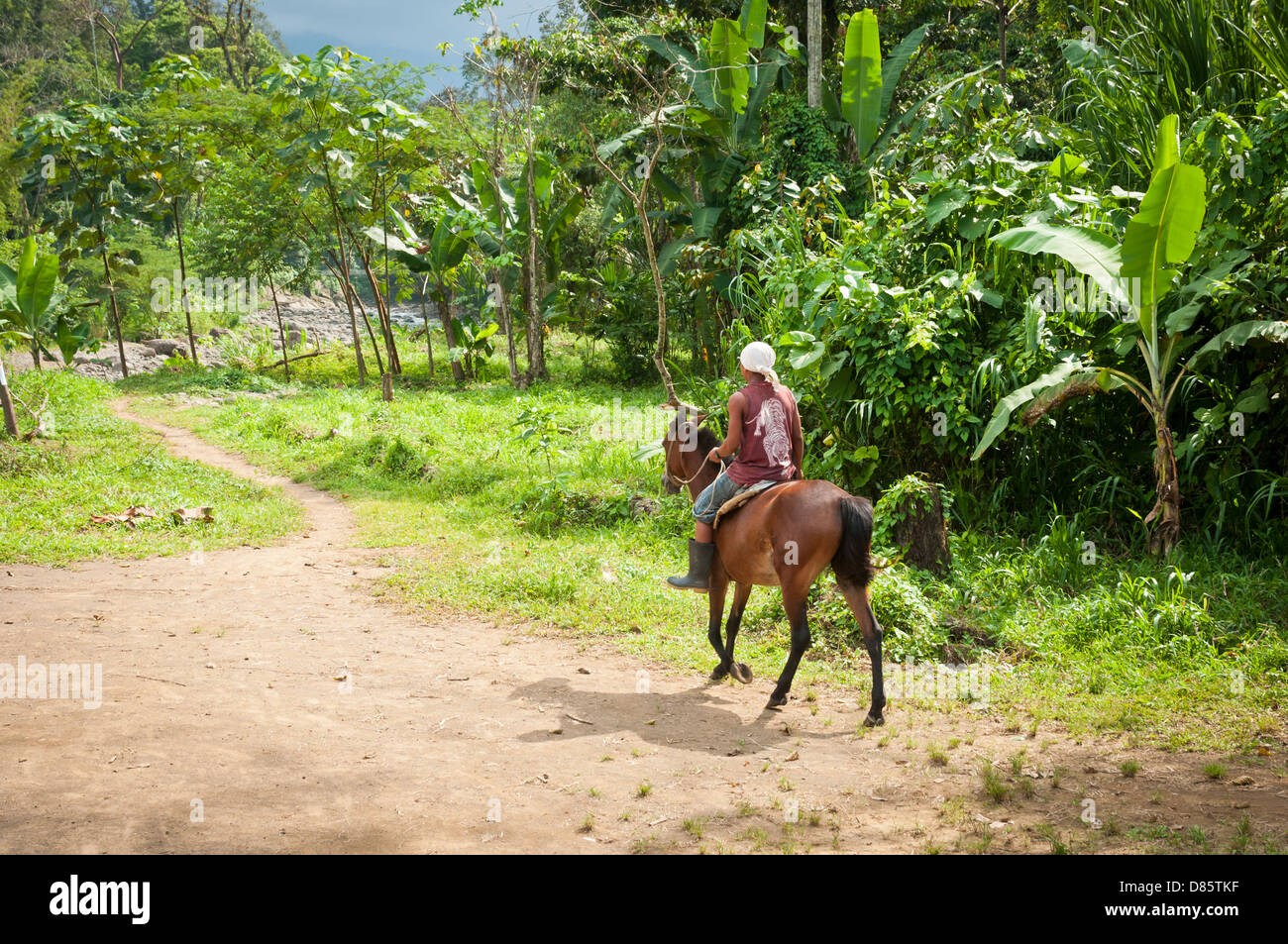 Homme avec Bribri est l sur la jungle de Talamanca, Costa Rica. Banque D'Images