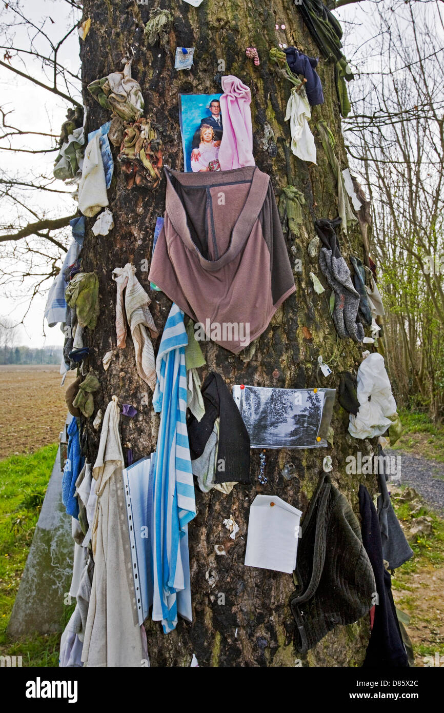 L'arbre à clous, un arbre des désirs belge à Jurbise / Jurbeke, Herchies, Hainaut, Belgique Banque D'Images