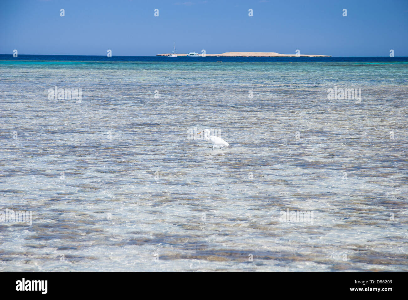 Côte de la mer Rouge, près de Hurghada Banque D'Images