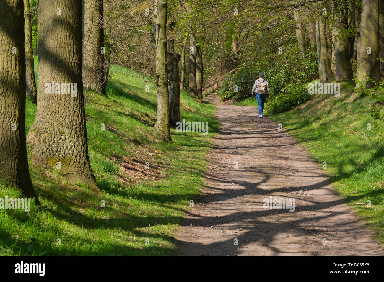 Une marchette marchant dans un chemin forestiers dans le soleil du printemps. Banque D'Images