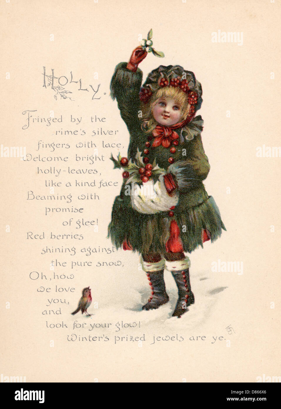Holly / « langue des fleurs » Banque D'Images