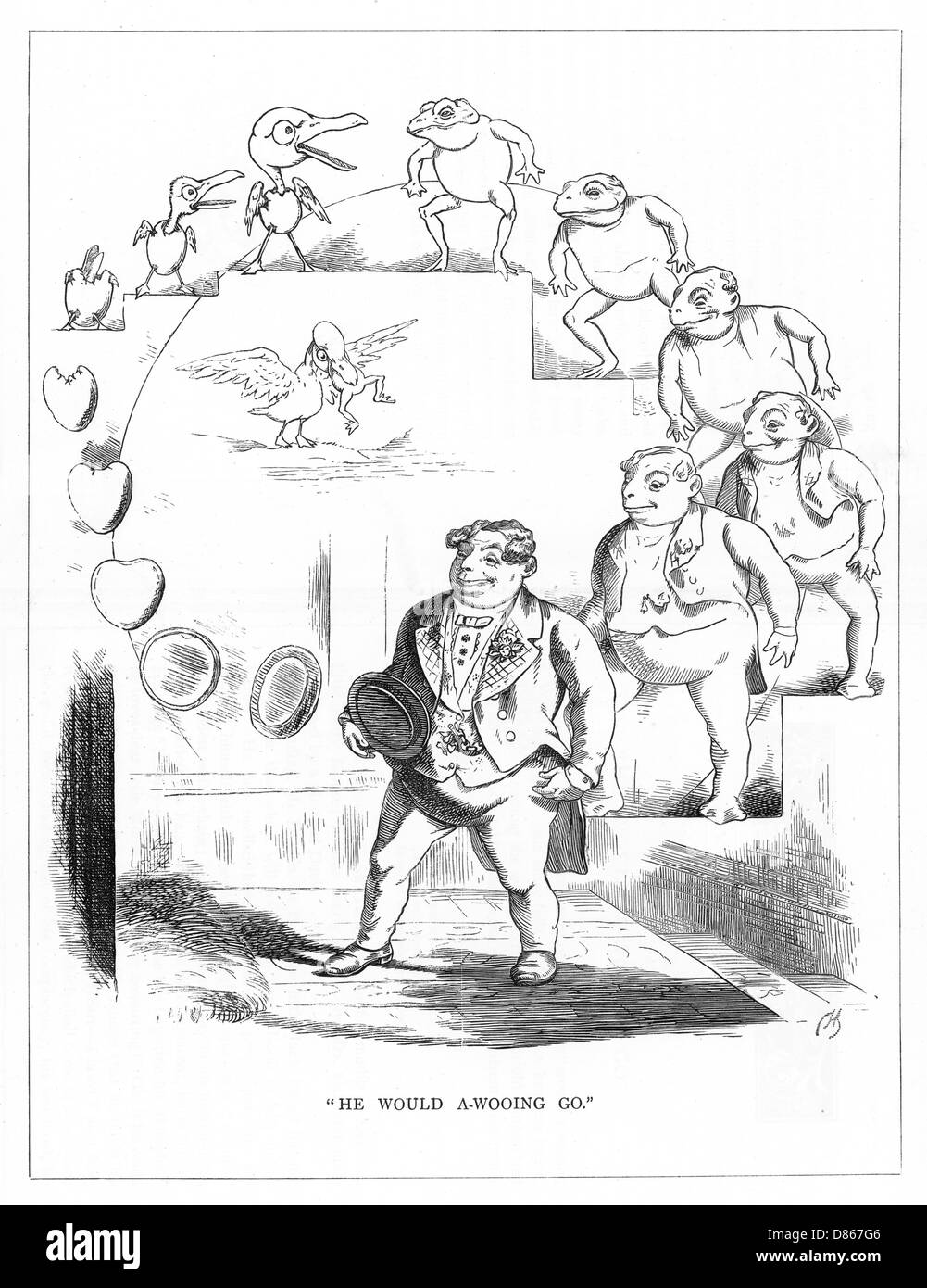 Origine espèce, CH Bennett, courting man - grenouille Banque D'Images