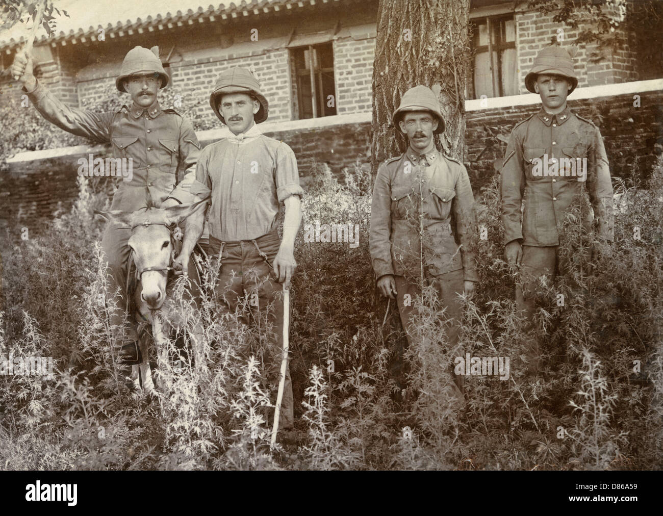 Des soldats britanniques avec un âne en Chine Banque D'Images