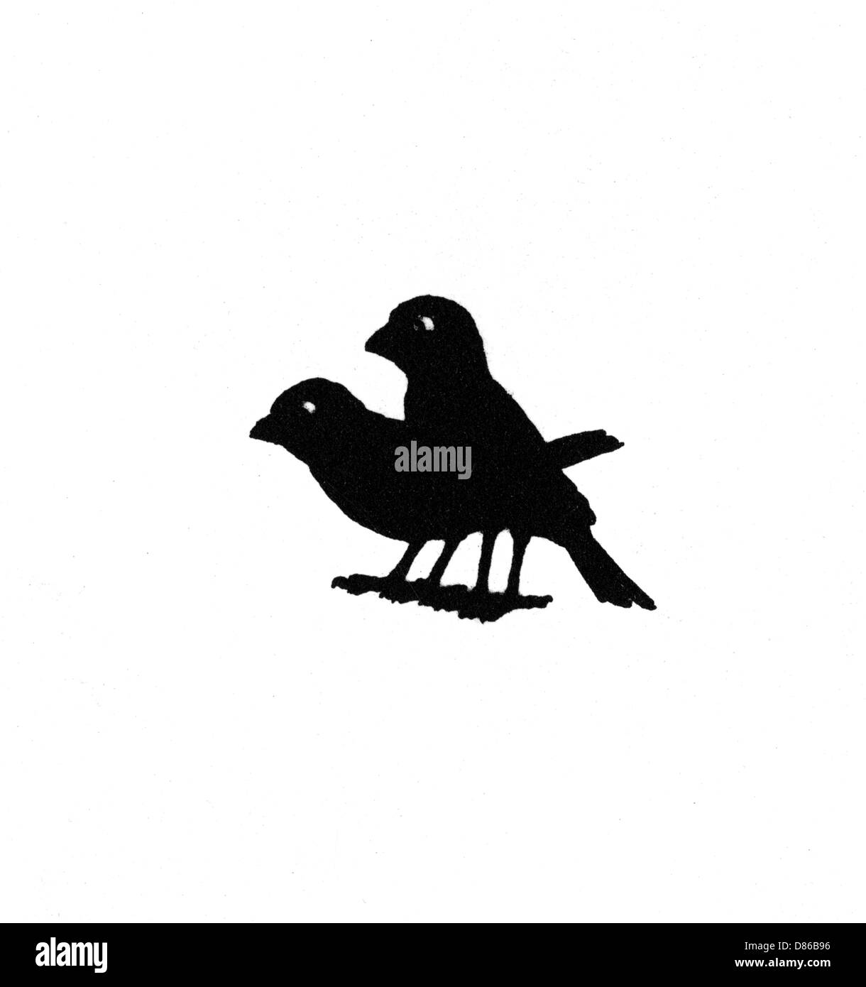 Deux oiseaux sur la page de titre, en attente de miettes Banque D'Images