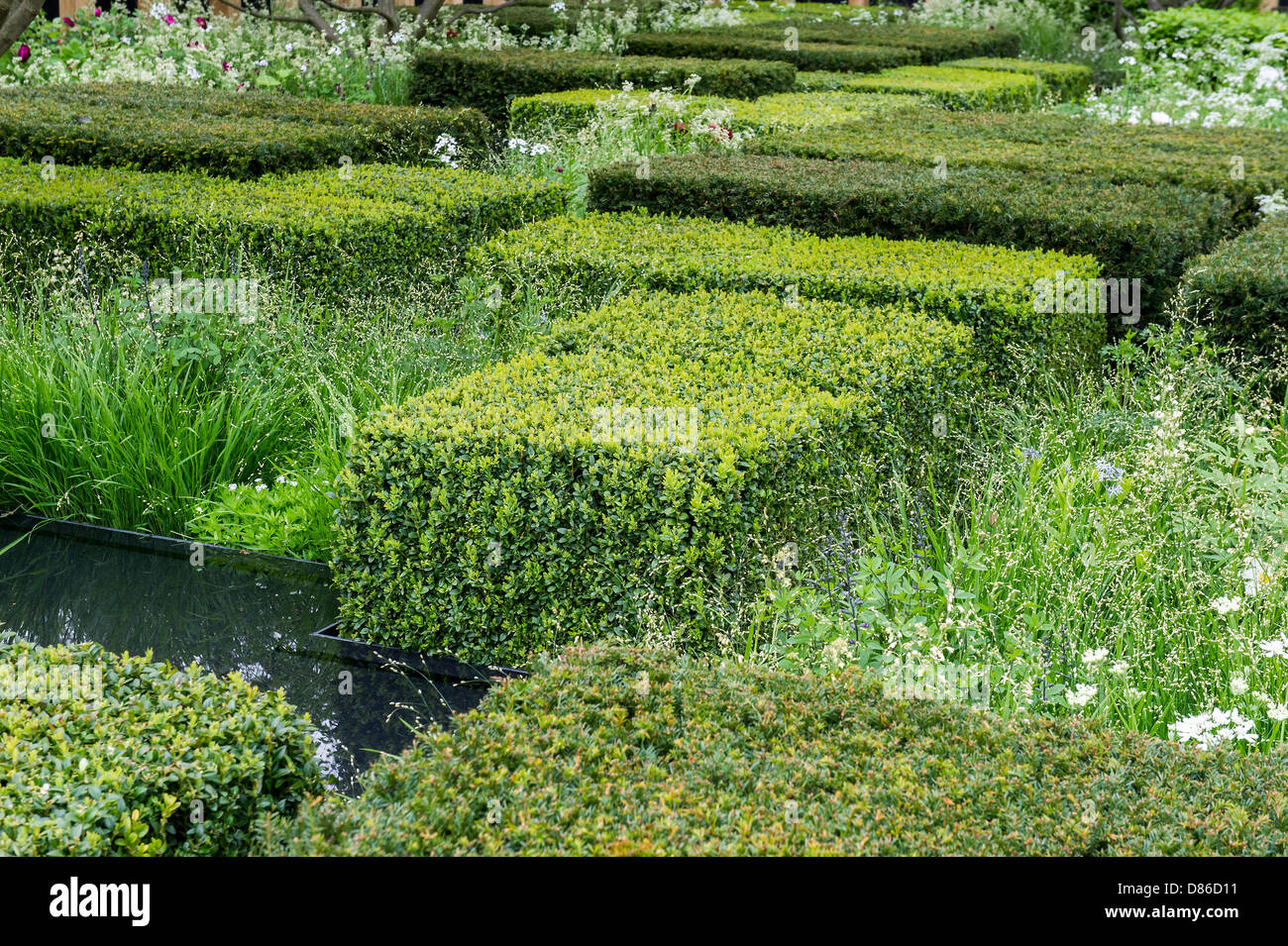 Londres, Royaume-Uni. 20 mai 2013.Le Daily Telegraph Jardin. Le premier jour de l'exposition florale de Chelsea. Le Royal Hospital, Chelsea. Crédit : Guy Bell/Alamy Live News Banque D'Images