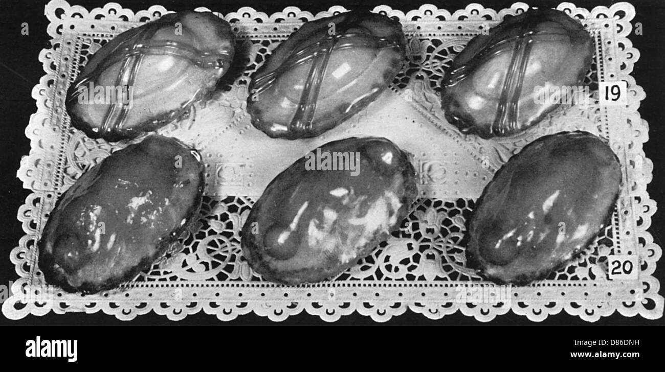 Spécialités de pâtisserie danoise Banque D'Images