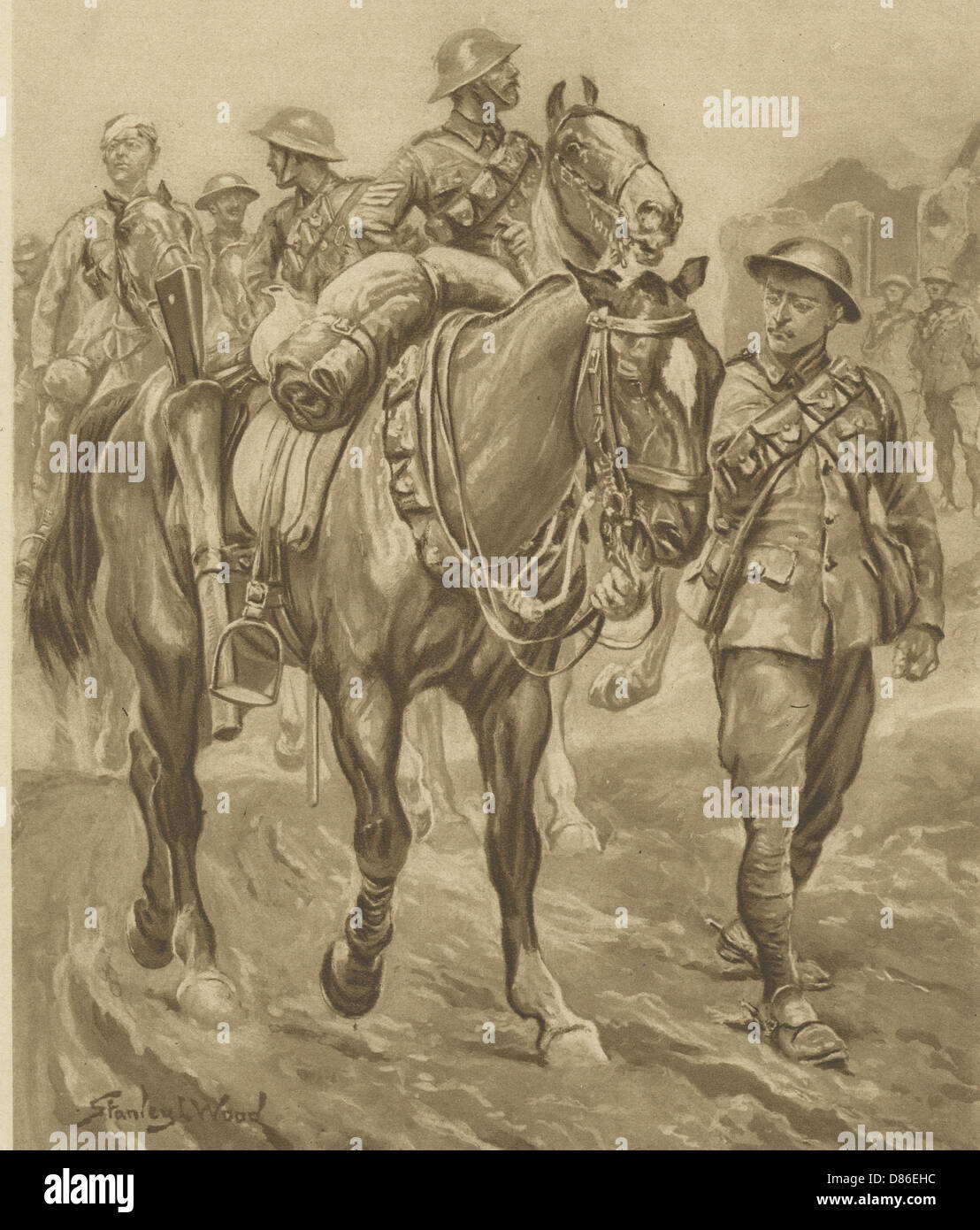 CHUM blessé - chevaux de la première Guerre mondiale Banque D'Images