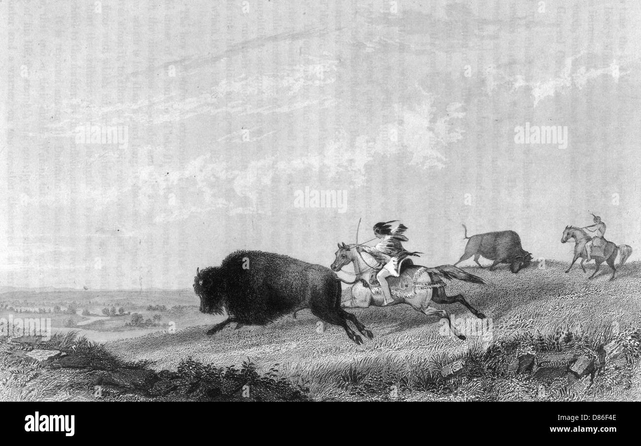 Les Américains indigènes Missouri chasser le bison Banque D'Images
