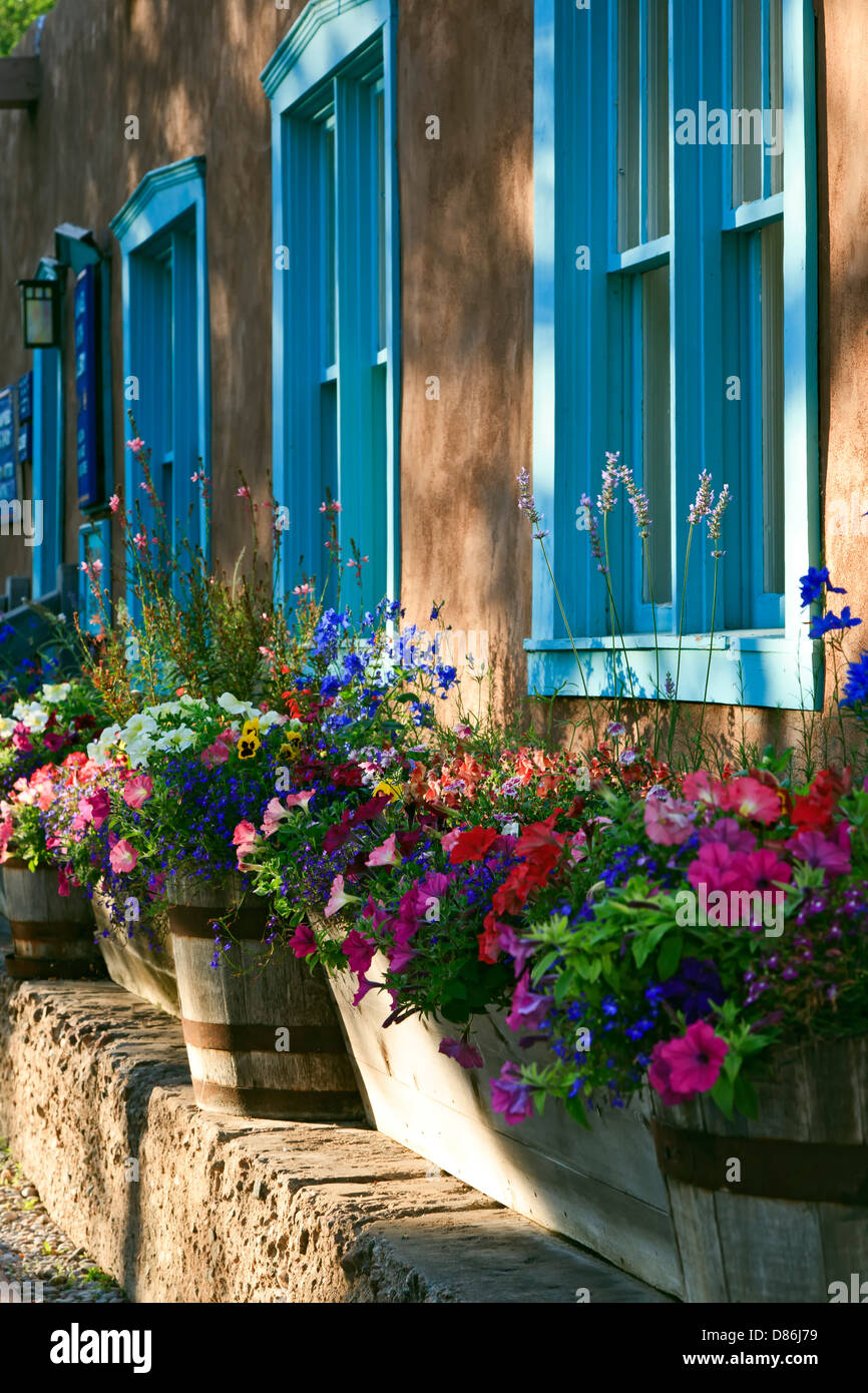Windows turquoise et fleurs colorées, Canyon Road, Santa Fe, Nouveau Mexique USA Banque D'Images