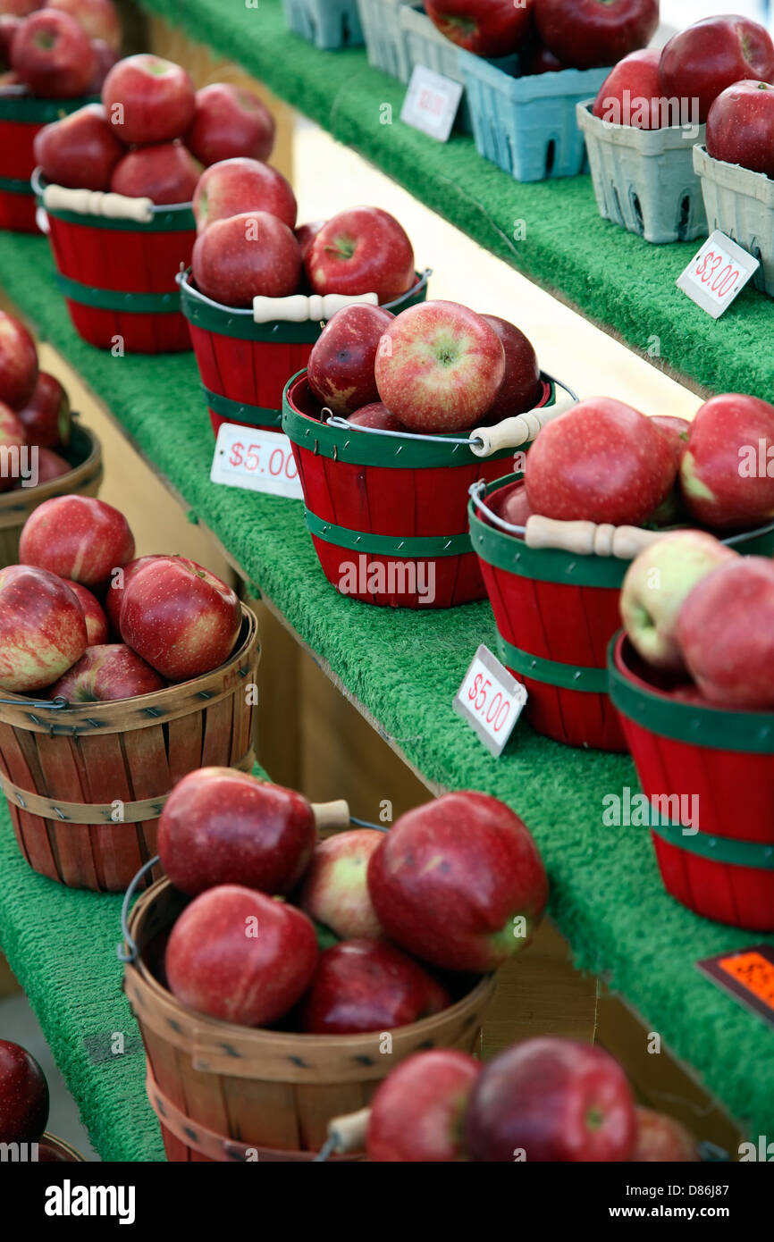 Les pommes, Farmers' Market, Quartier Gare, Santa Fe, Nouveau Mexique USA Banque D'Images