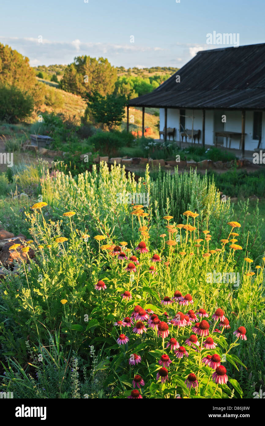 Jardin fleuri et Mora House, El Rancho de Las Golondrinas, Santa Fe, Nouveau Mexique USA Banque D'Images