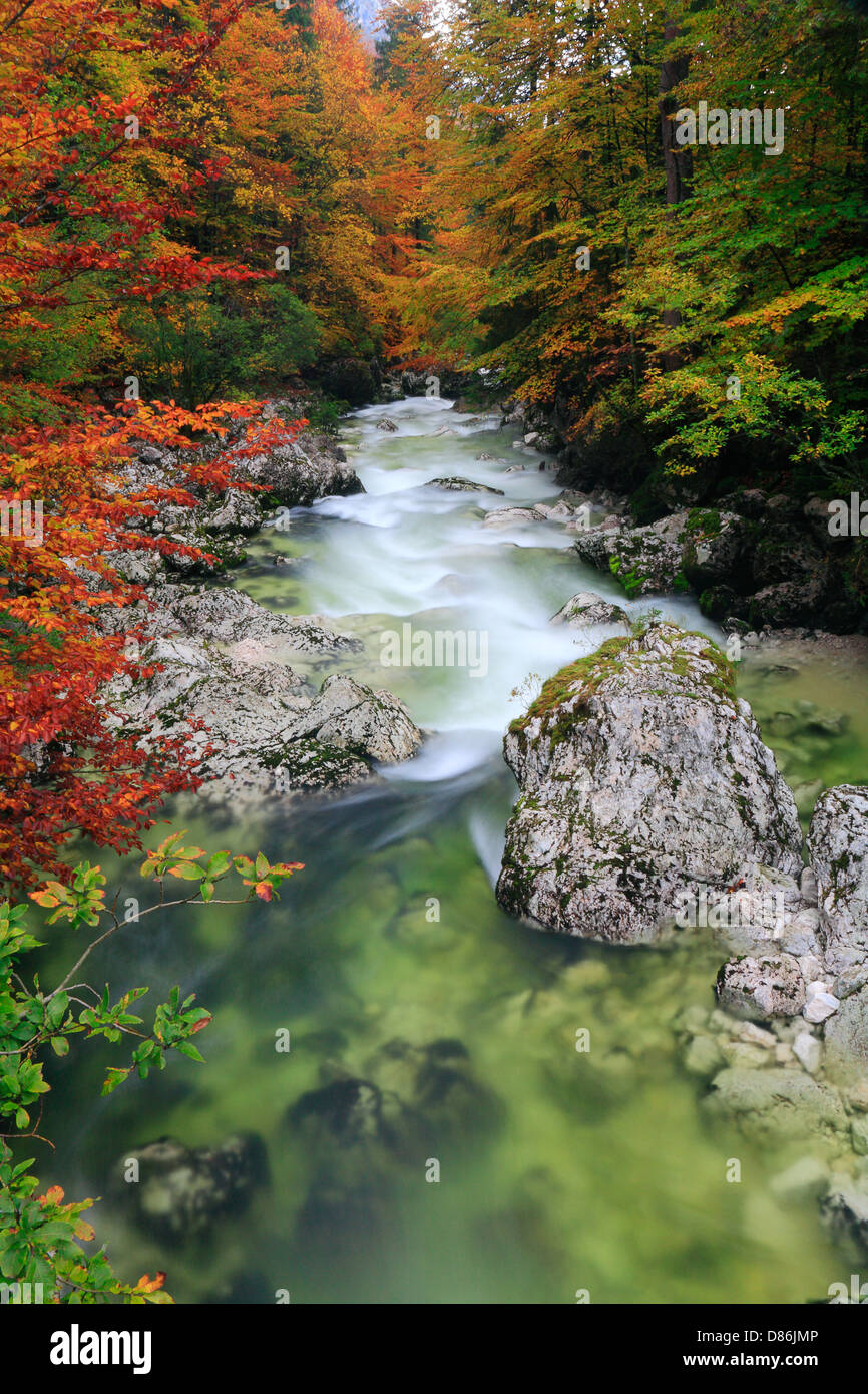 River Savica, Slovénie Banque D'Images