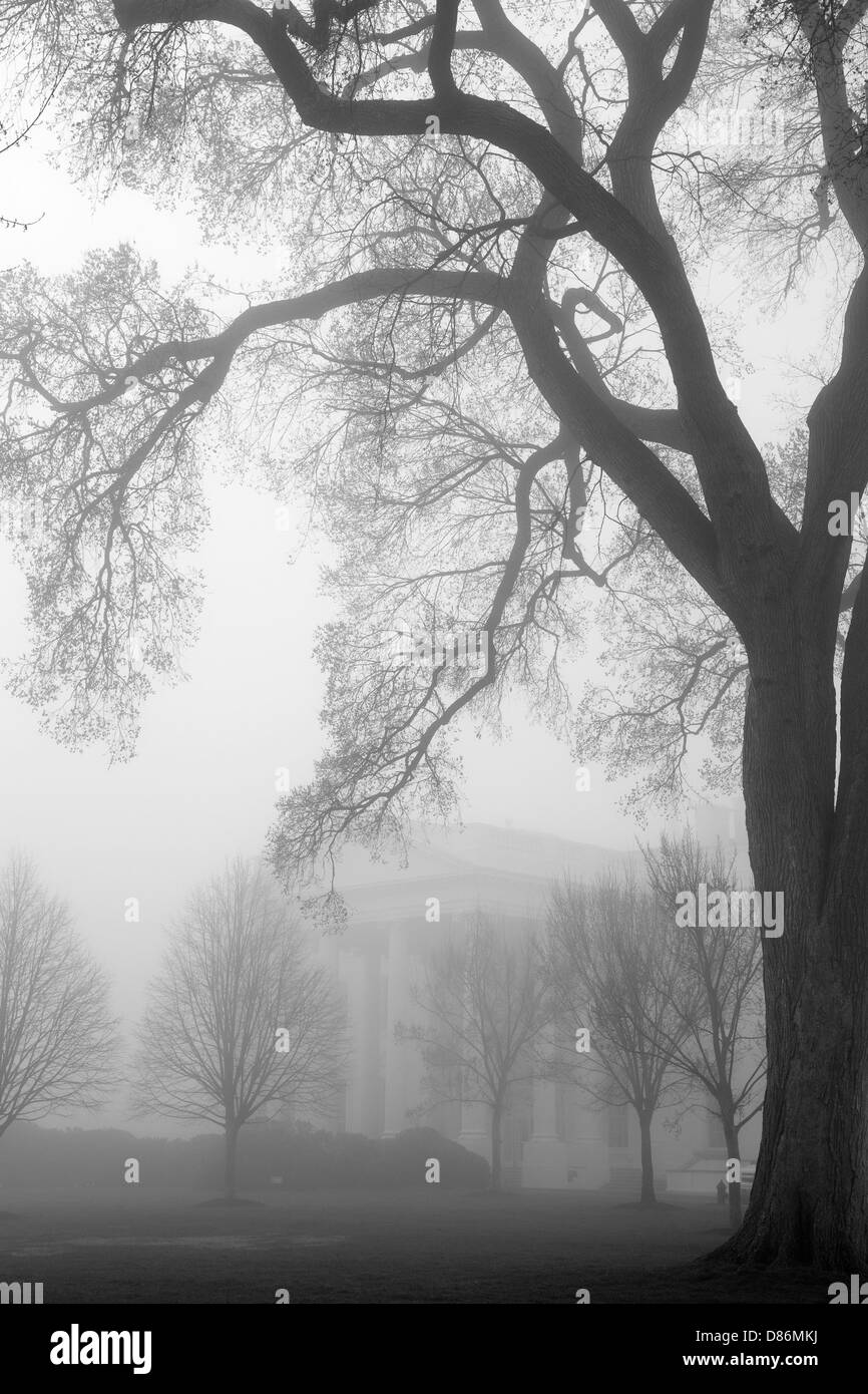 Le portique nord de la Maison Blanche est vu à travers le brouillard du 1er avril 2013 à Washington, DC. Banque D'Images