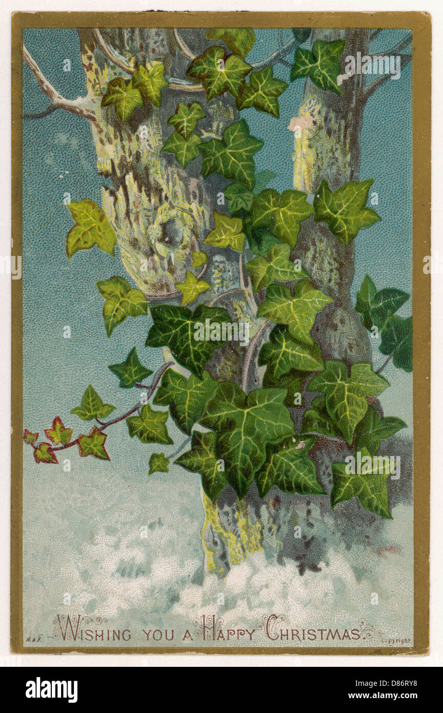 Carte de voeux arbre lierre Photo Stock - Alamy