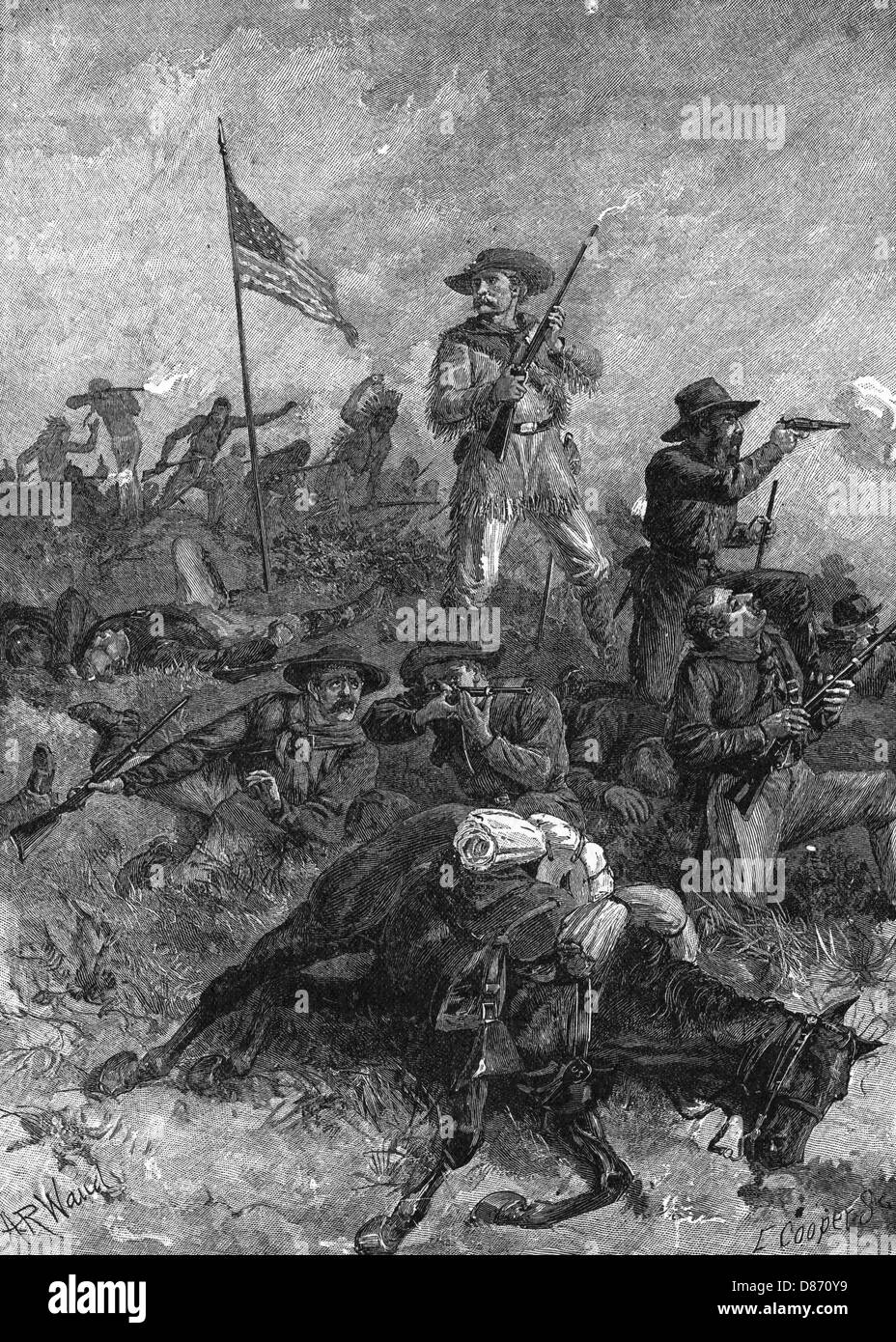 PETITE GROSSE CORNE Banque D'Images PETITE GROSSE CORNE Banque D'Images