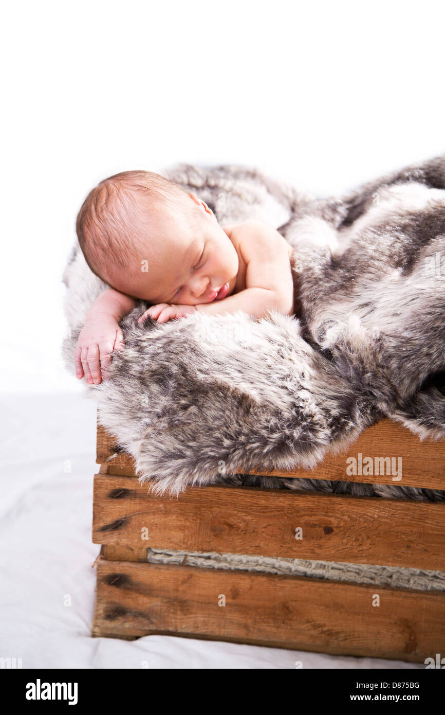 Bébé sur la fourrure dans des caisses en bois Banque D'Images