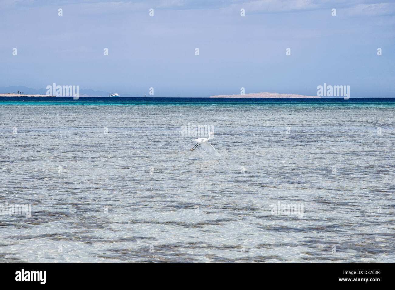 Côte de la mer Rouge, près de Hurghada Banque D'Images