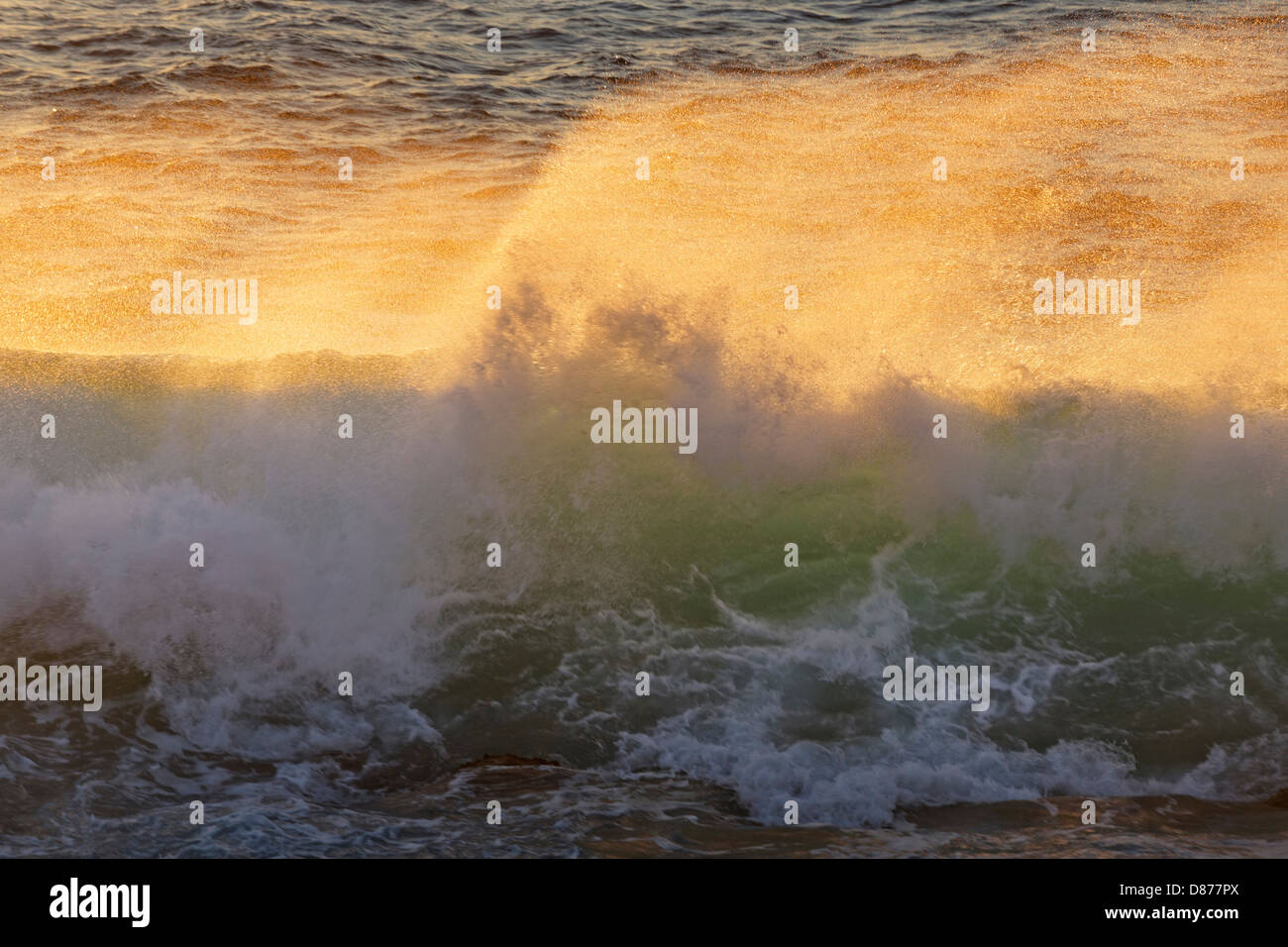 L'Espagne, la Gomera, vagues à Valle Gran Rey Banque D'Images